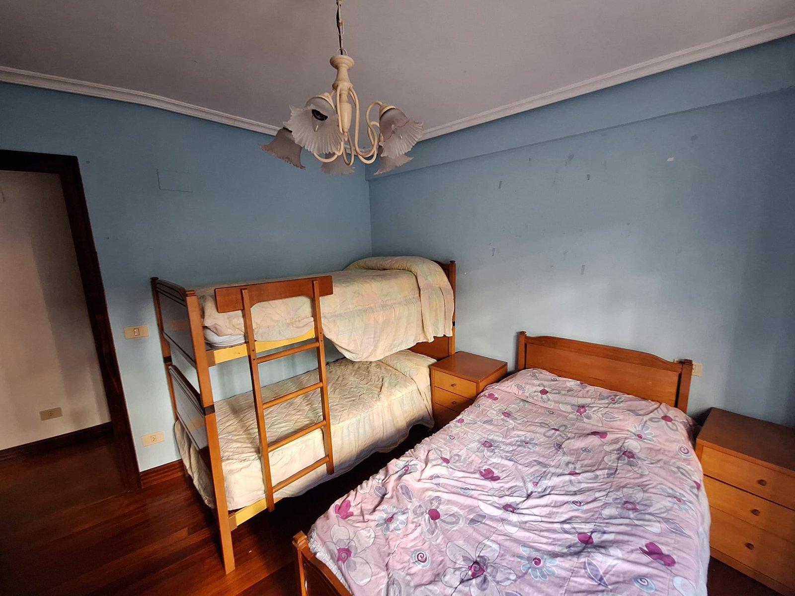 WhatsApp Image 2025-01-08 at 11.56.48